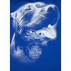 Bluza Pit Bull San Diego IV'20 - Niebieska