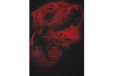 Bluza Pit Bull San Diego IV'20 - Czarna