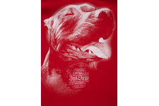 Bluza z kapturem Pit Bull San Diego IV'20 - Czerwona