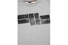 Bluza Pit Bull Classic Logo'20 - Szara