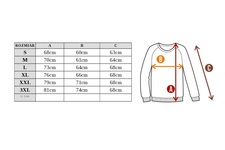 Bluza Pit Bull Classic Logo'20 - Szara