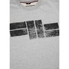 Bluza Pit Bull Classic Logo'20 - Szara