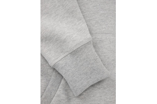 Bluza z kapturem Pit Bull Potomac '20 - Szara