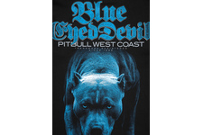 Koszulka Pit Bull Blue Eyed Devil 21 '21 - Czarna