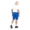 Szorty dresowe Pit Bull Performance Pro+ Alcorn '21 - Niebieskie