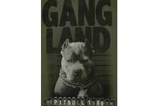 Koszulka Pit Bull Mugshot '21 - Oliwkowa