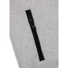 Bluza z kapturem Pit Bull Performance Pro+ Skylark '21 - Szara