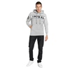 Bluza z kapturem Pit Bull Potomac 2 '21 - Szara