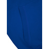 Bluza z kapturem Pit Bull Small Logo '21 - Niebieska