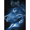 Bluza Pit Bull Blue Eyed Devil X '21 - Czarna