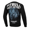 Bluza Pit Bull Black Dog '21 - Czarna