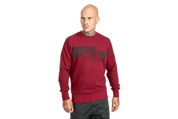 Bluza Pit Bull Classic Logo '21 - Bordowa