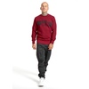 Bluza Pit Bull Classic Logo '21 - Bordowa