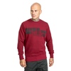 Bluza Pit Bull Classic Logo '21 - Bordowa