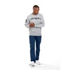 Bluza Pit Bull Potomac 2 '21 - Szara