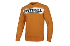 Bluza Pit Bull Potomac 2 '21 - Miodowa
