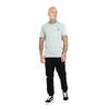 Koszulka Pit Bull Denim Washed California Dog '21 - Szara