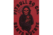 Koszulka Pit Bull Denim Washed Santa Muerte '21 - Bordowa