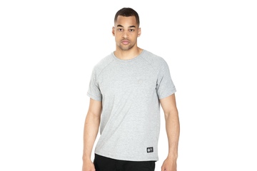 Koszulka Pit Bull Spandex Small Logo '21 - Szara