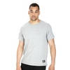 Koszulka Pit Bull Spandex Small Logo '21 - Szara