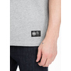 Koszulka Pit Bull Garment Washed Raglan Small Logo '21 - Szara/Czerwona