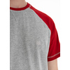 Koszulka Pit Bull Garment Washed Raglan Small Logo '21 - Szara/Czerwona