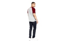 Koszulka Pit Bull Garment Washed Raglan Small Logo '21 - Szara/Bordowa