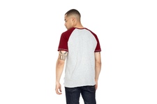 Koszulka Pit Bull Garment Washed Raglan Small Logo '21 - Szara/Bordowa