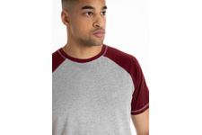 Koszulka Pit Bull Garment Washed Raglan Small Logo '21 - Szara/Bordowa