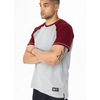 Koszulka Pit Bull Garment Washed Raglan Small Logo '21 - Szara/Bordowa