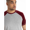Koszulka Pit Bull Garment Washed Raglan Small Logo '21 - Szara/Bordowa