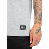 Koszulka Pit Bull Garment Washed Raglan Small Logo '21 - Szara/Niebieska