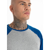 Koszulka Pit Bull Garment Washed Raglan Small Logo '21 - Szara/Niebieska