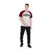 Koszulka Pit Bull Garment Washed Raglan Boxing '21 - Szara/Bordowa