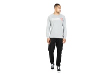 Koszulka z długim rękawem Pit Bull Spandex Hilltop '21 - Szara