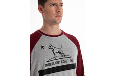 Koszulka z długim rękawem Pit Bull Garment Washed Raglan California '21 - Szara/Bordowa