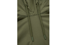 Longsleeve z kapturem Pit Bull Spandex Small Logo '21 - Oliwkowy