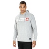 Longsleeve z kapturem Pit Bull Spandex Hilltop '21 - Szary