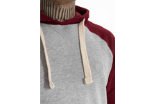 Longsleeve z kapturem Pit Bull Garment Washed Raglan Small Logo '21 - Szary/Bordowy
