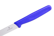 Nóż kuchenny Victorinox Standard Pikutek - do warzyw, wędlin i owoców - niebieski