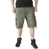 szorty SURPLUS VINTAGE SHORTS WASHED - Olive