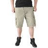 szorty SURPLUS VINTAGE SHORTS WASHED - Beige