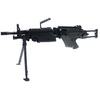 Model 249 Para [CA007M]